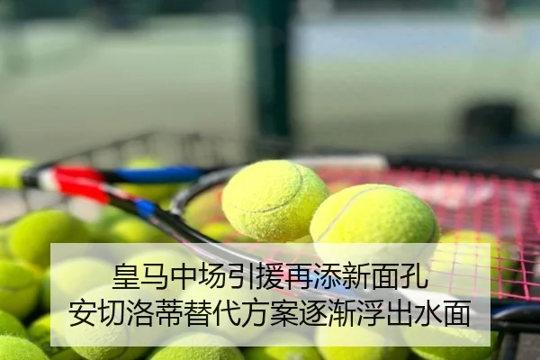 皇马中场引援再添新面孔 安切洛蒂替代方案逐渐浮出水面