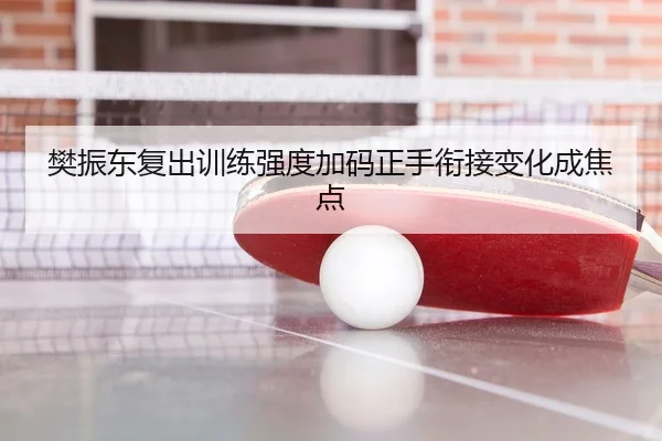 樊振东复出训练强度加码正手衔接变化成焦点