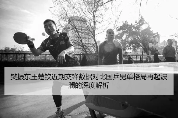 樊振东王楚钦近期交锋数据对比国乒男单格局再起波澜的深度解析