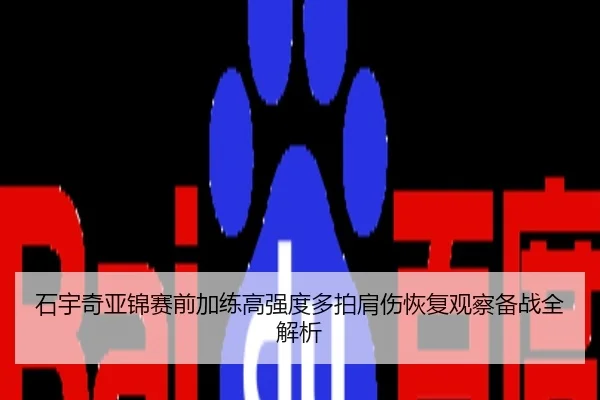 石宇奇亚锦赛前加练高强度多拍肩伤恢复观察备战全解析